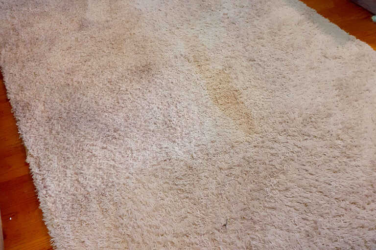 Before Clean || PristineGreenCleaning