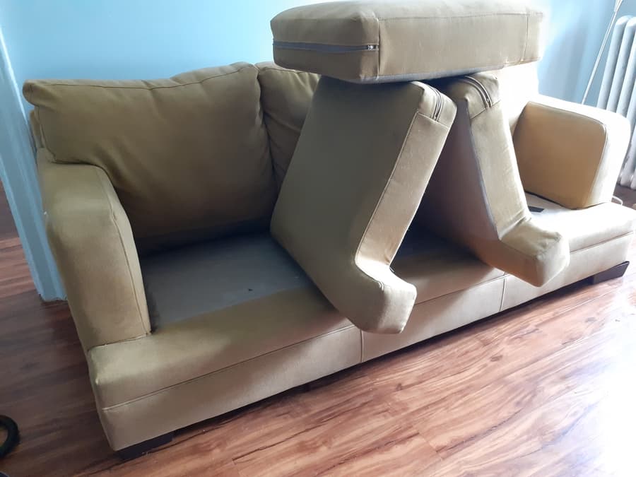 pet stain upholstery cleaner